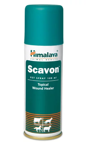 scavon vet spray